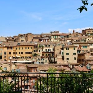 Meet your Posher, Riley